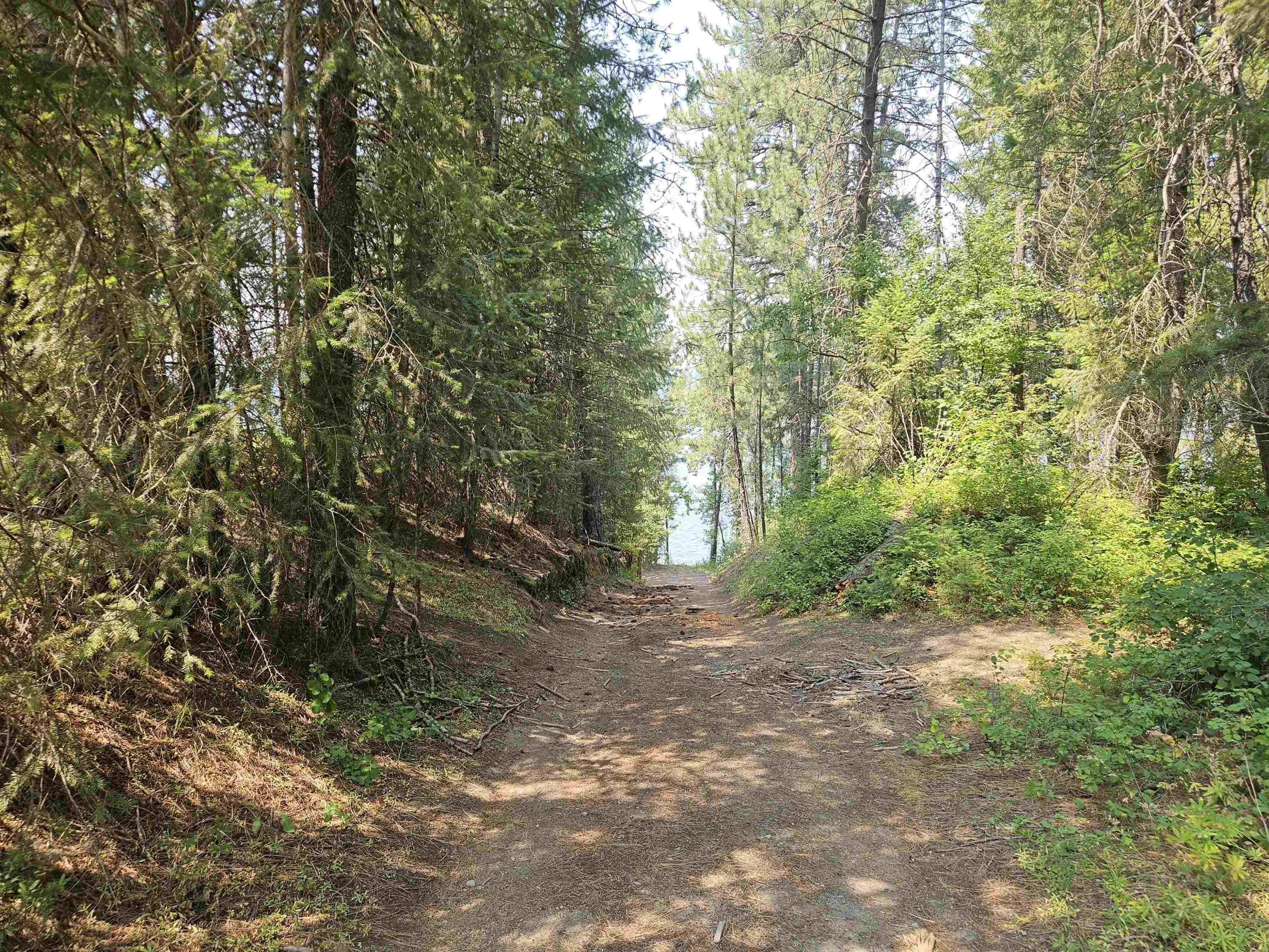 652 Southshore Diamond Lake Rd - Photo 37