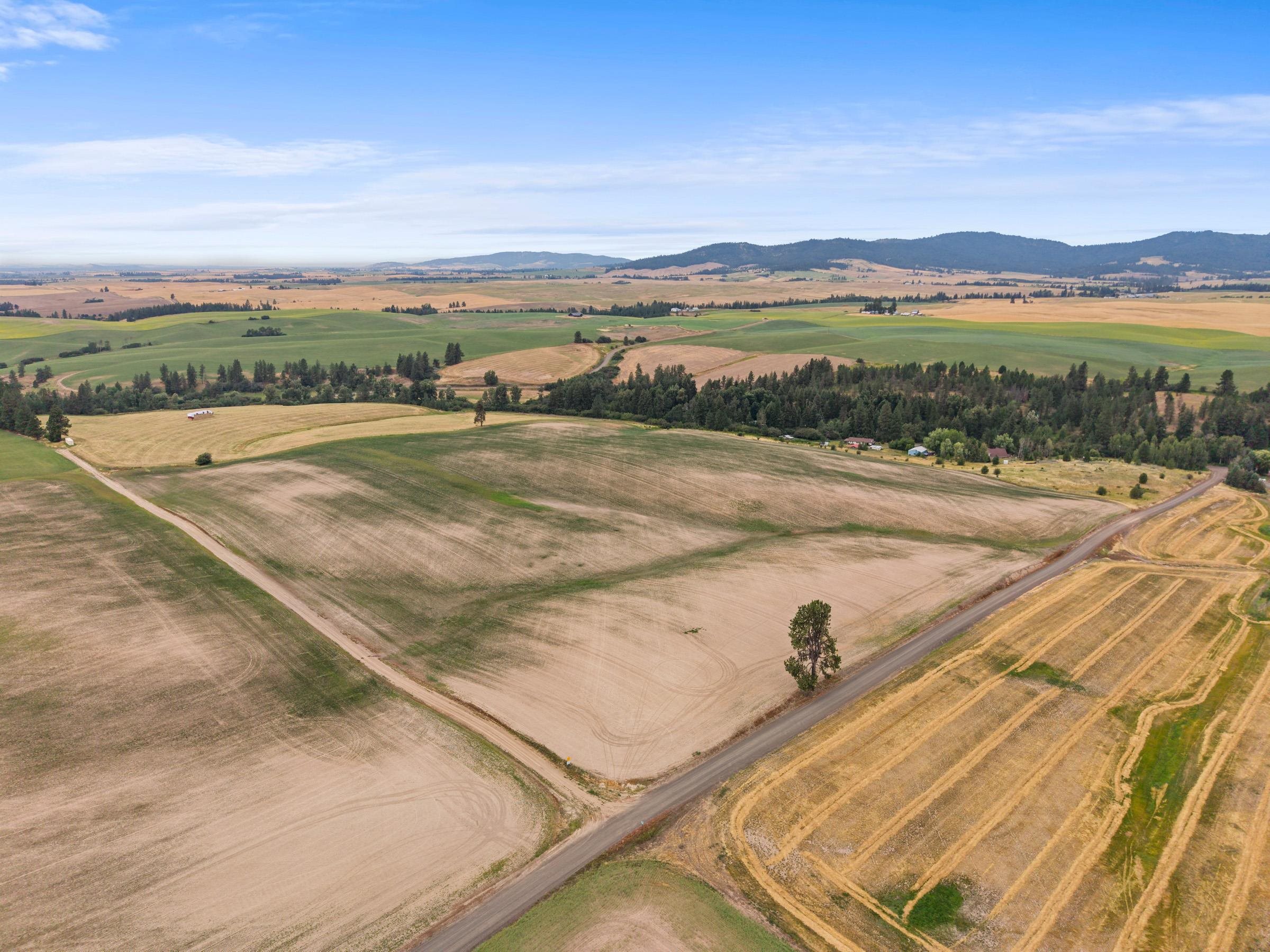 XXXX E Toll Rd - Photo 6