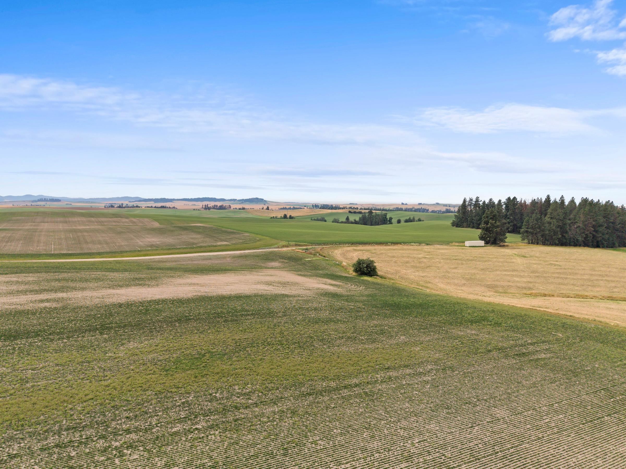 XXXX E Toll Rd - Photo 15