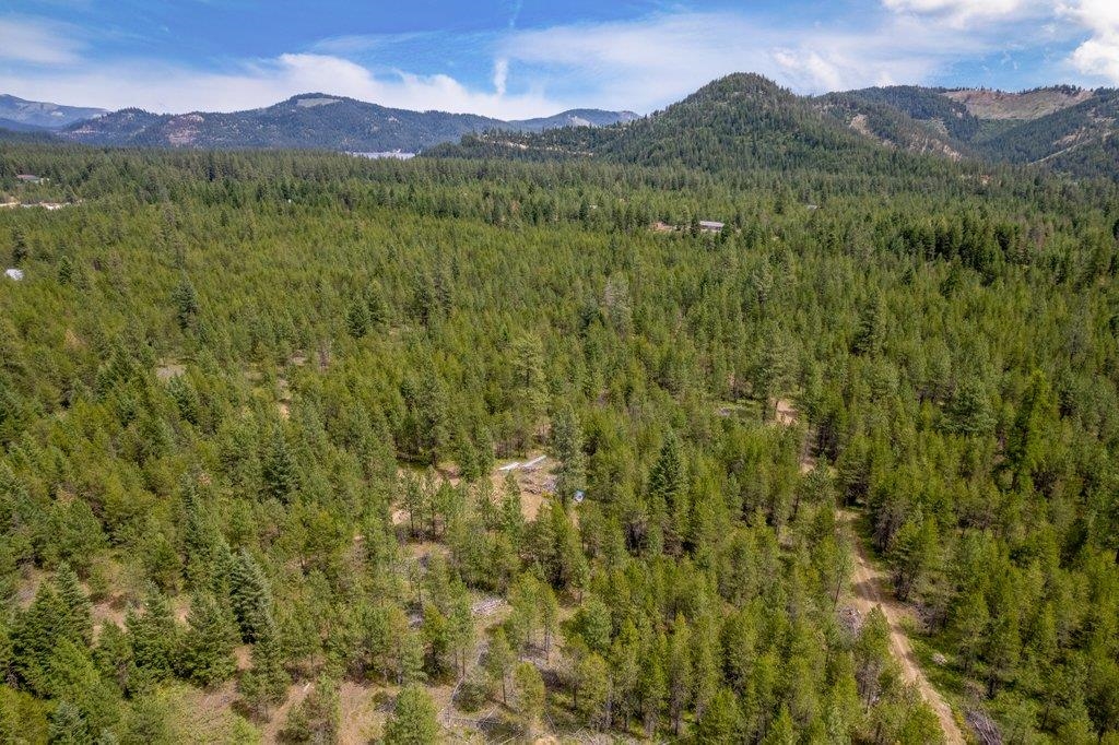 3948 Agar Rd Lot 1 Rd - Photo 12