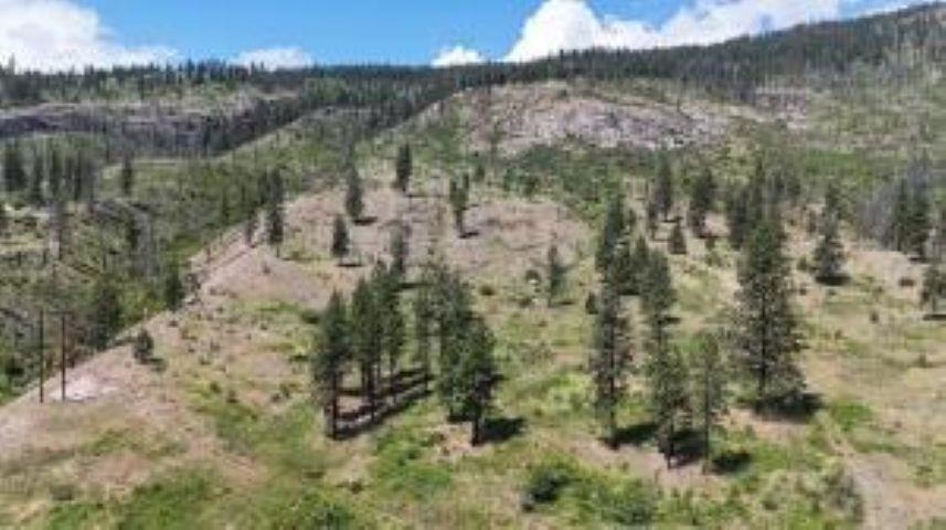 35000 Hwy 20 Hwy - Photo 3