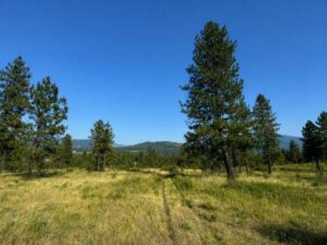 35000 Hwy 20 Hwy - Photo 7