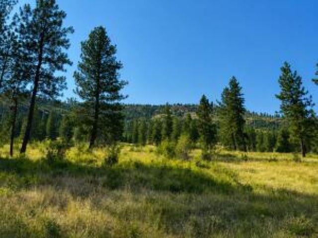35000 Hwy 20 Hwy - Photo 10
