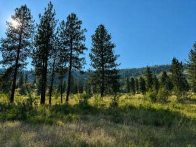 35000 Hwy 20 Hwy - Photo 12
