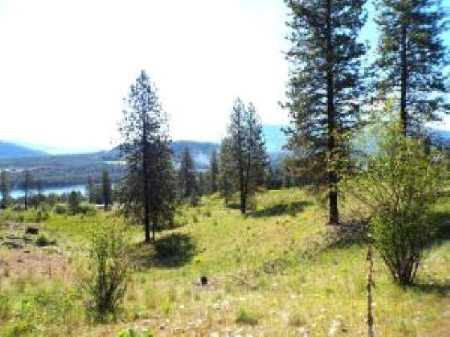 35000 Hwy 20 Hwy - Photo 14