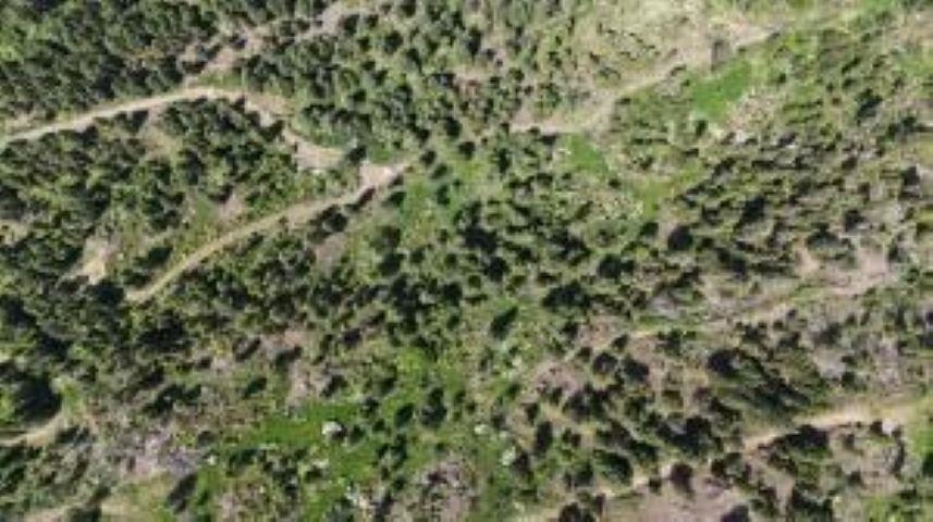 35000 Hwy 20 Hwy - Photo 17