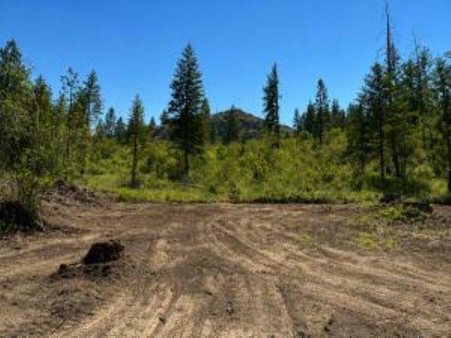 3634 N 25 Hwy - Photo 3