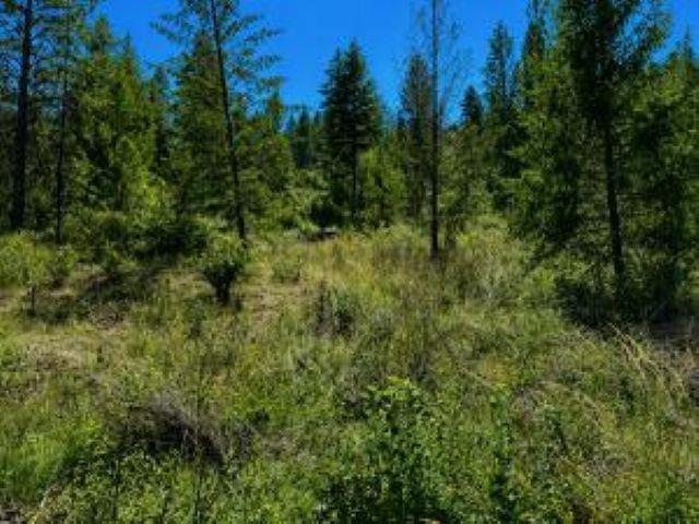 3634 N 25 Hwy - Photo 6