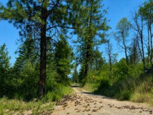3634 N 25 Hwy - Photo 7