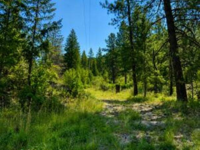3634 N 25 Hwy - Photo 8
