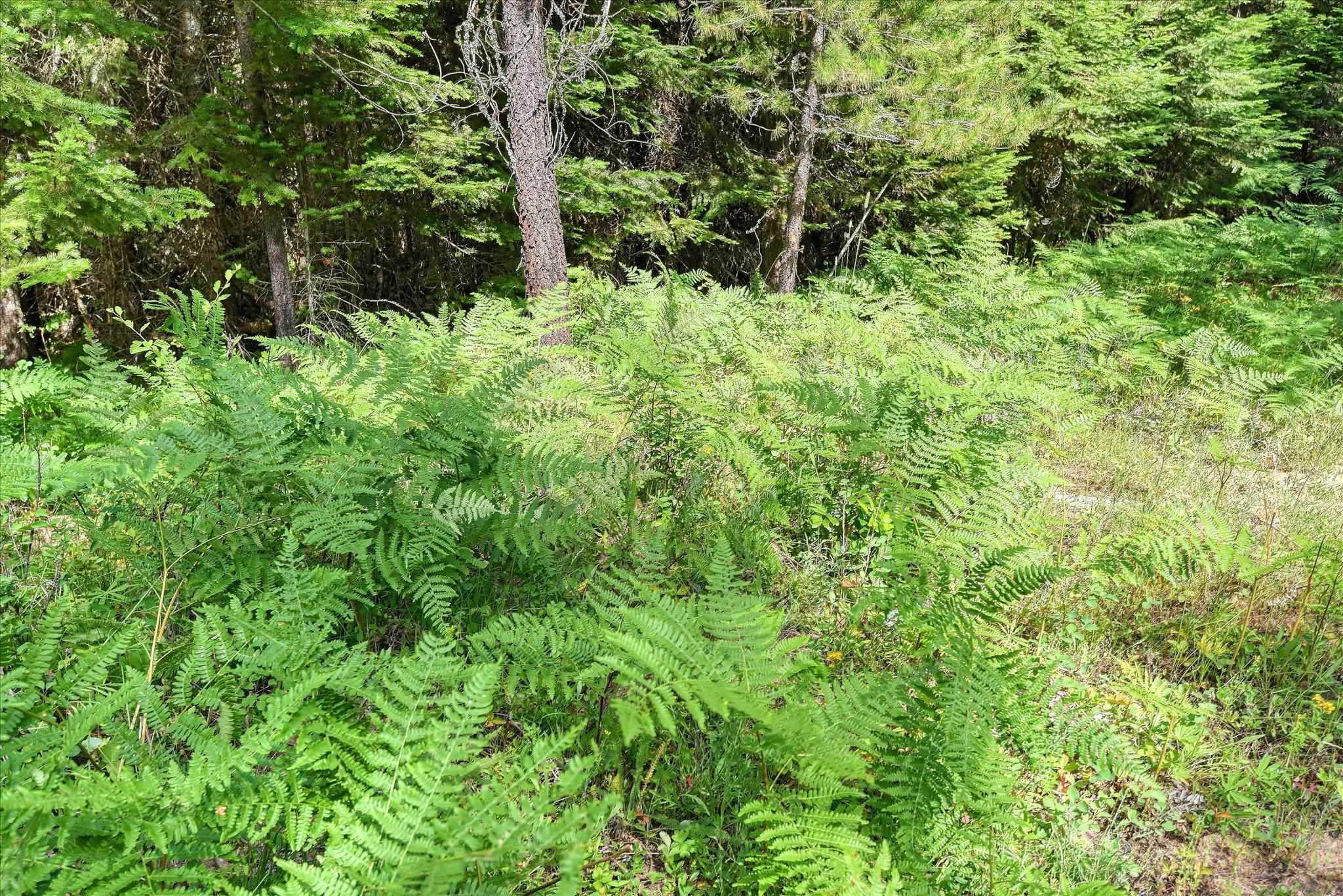 592 Doe Meadows Rd - Photo 34