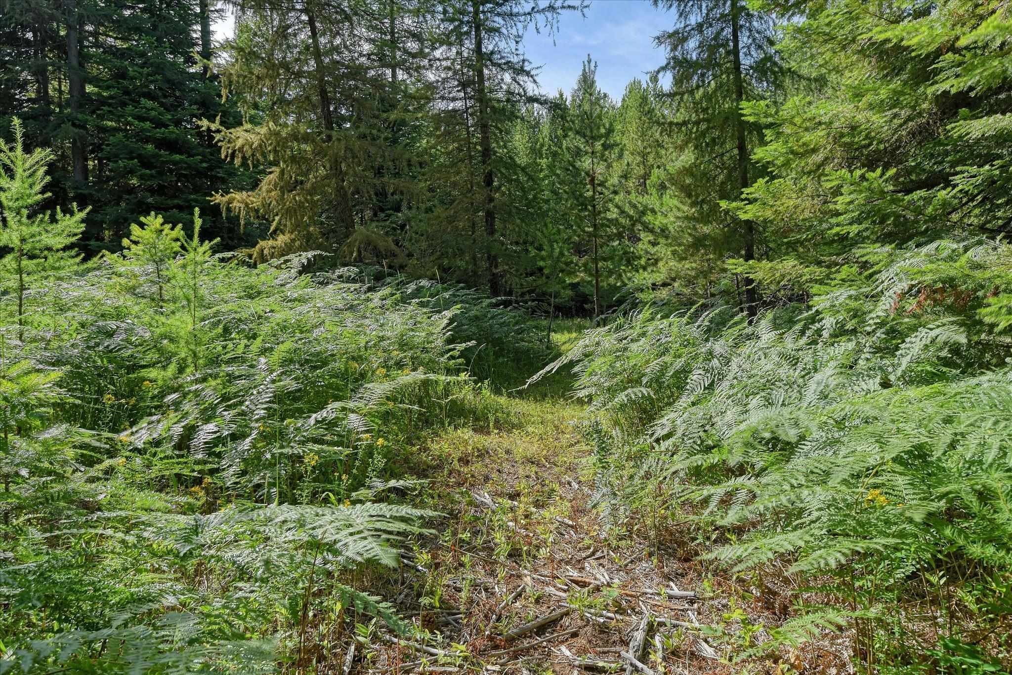 592 Doe Meadows Rd - Photo 35