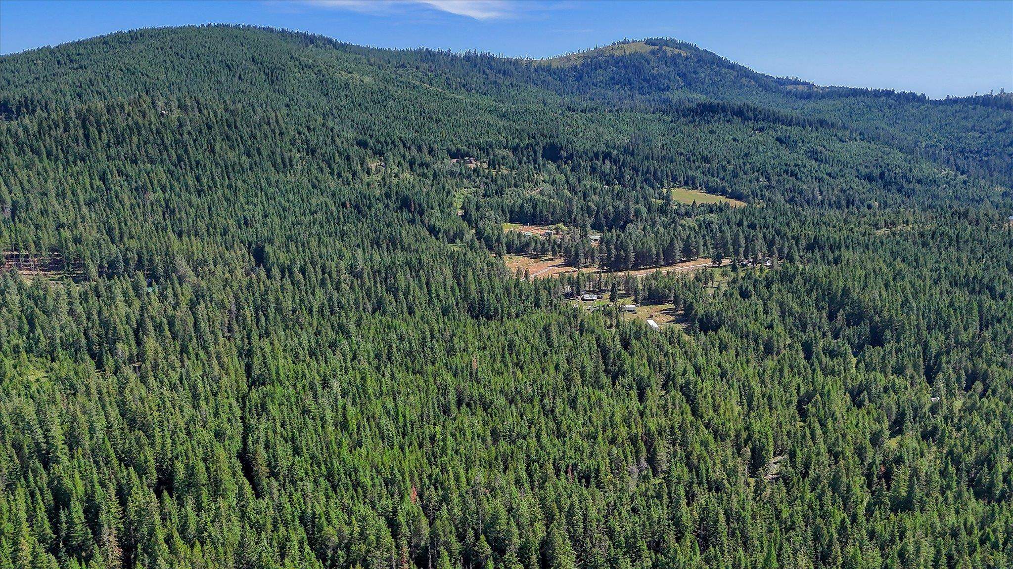 592 Doe Meadows Rd - Photo 3