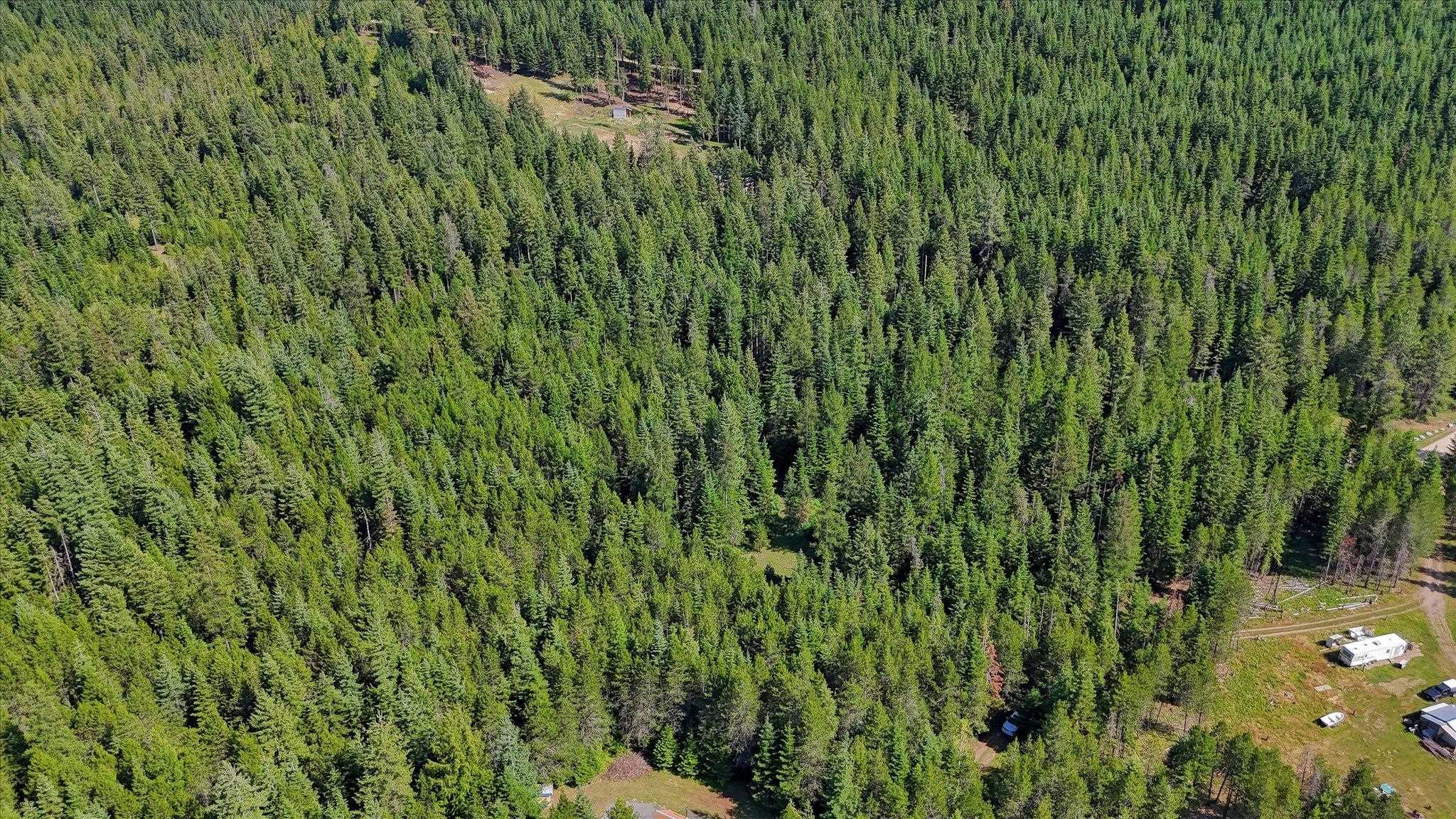 592 Doe Meadows Rd - Photo 27
