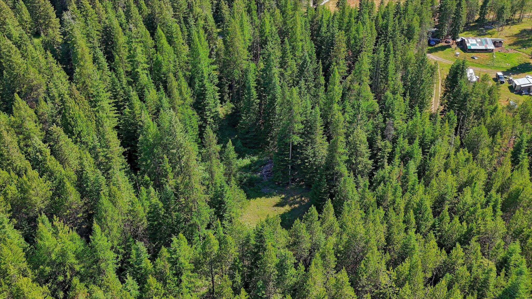 592 Doe Meadows Rd - Photo 30