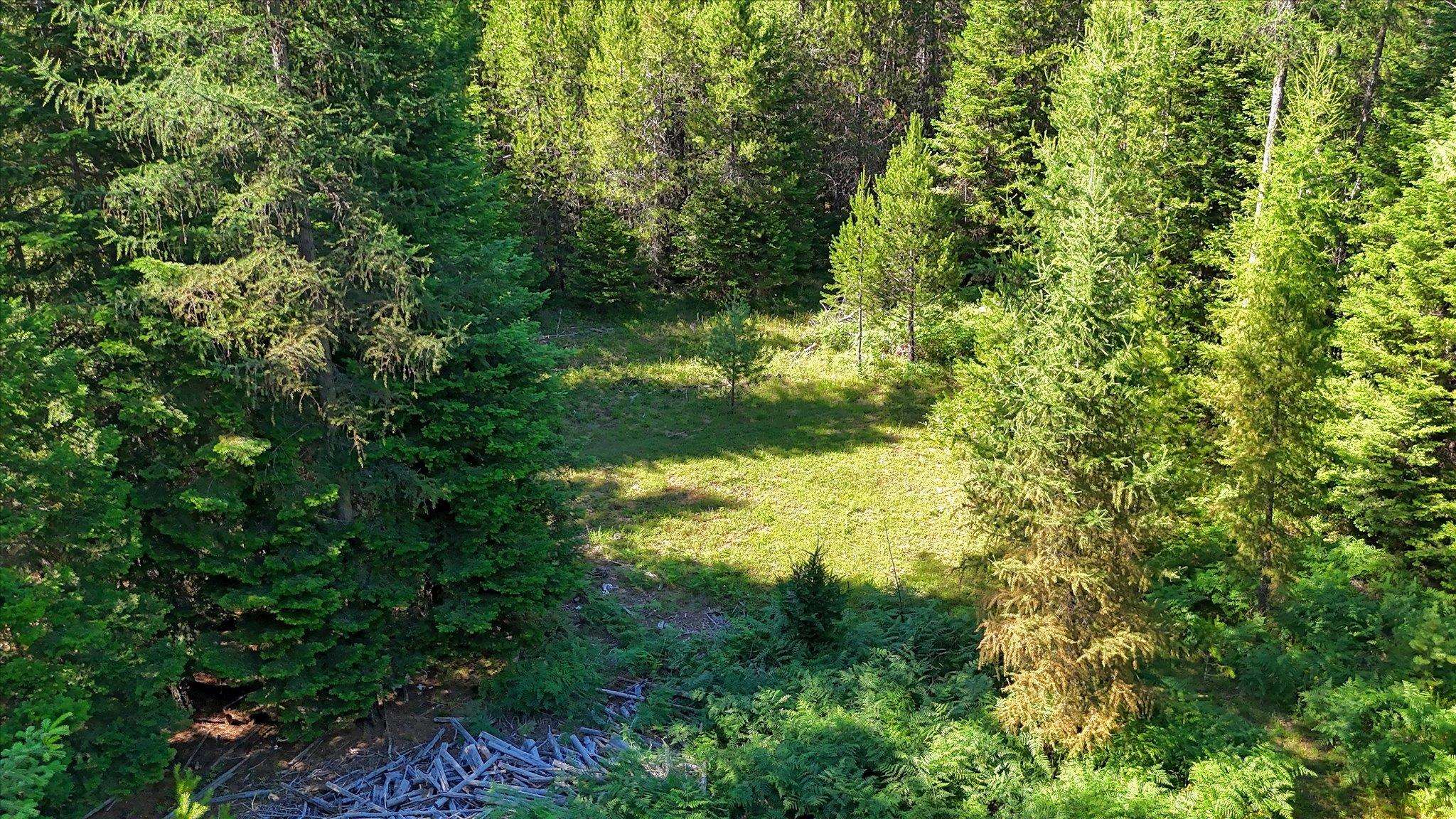 592 Doe Meadows Rd - Photo 32