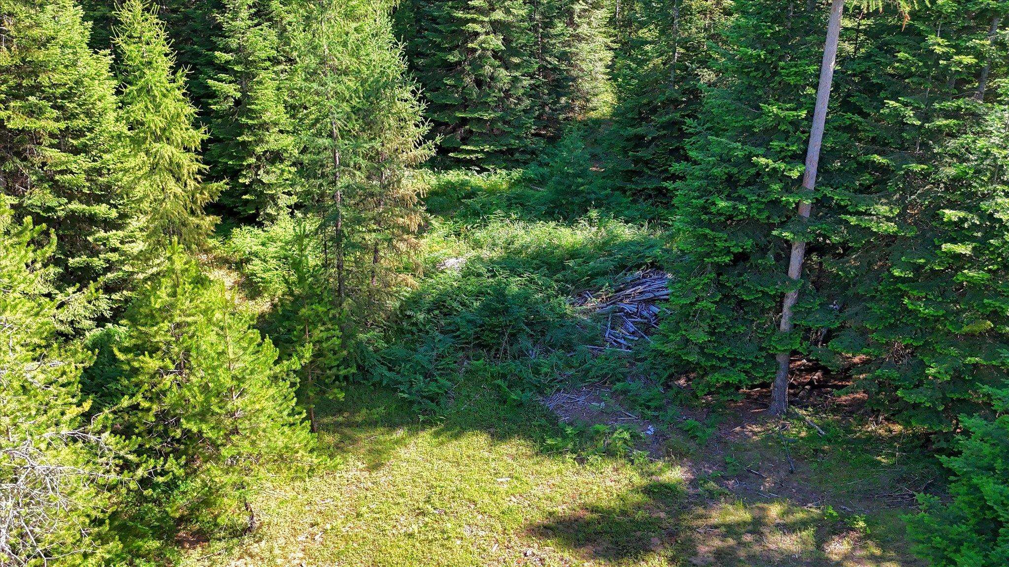 592 Doe Meadows Rd - Photo 33