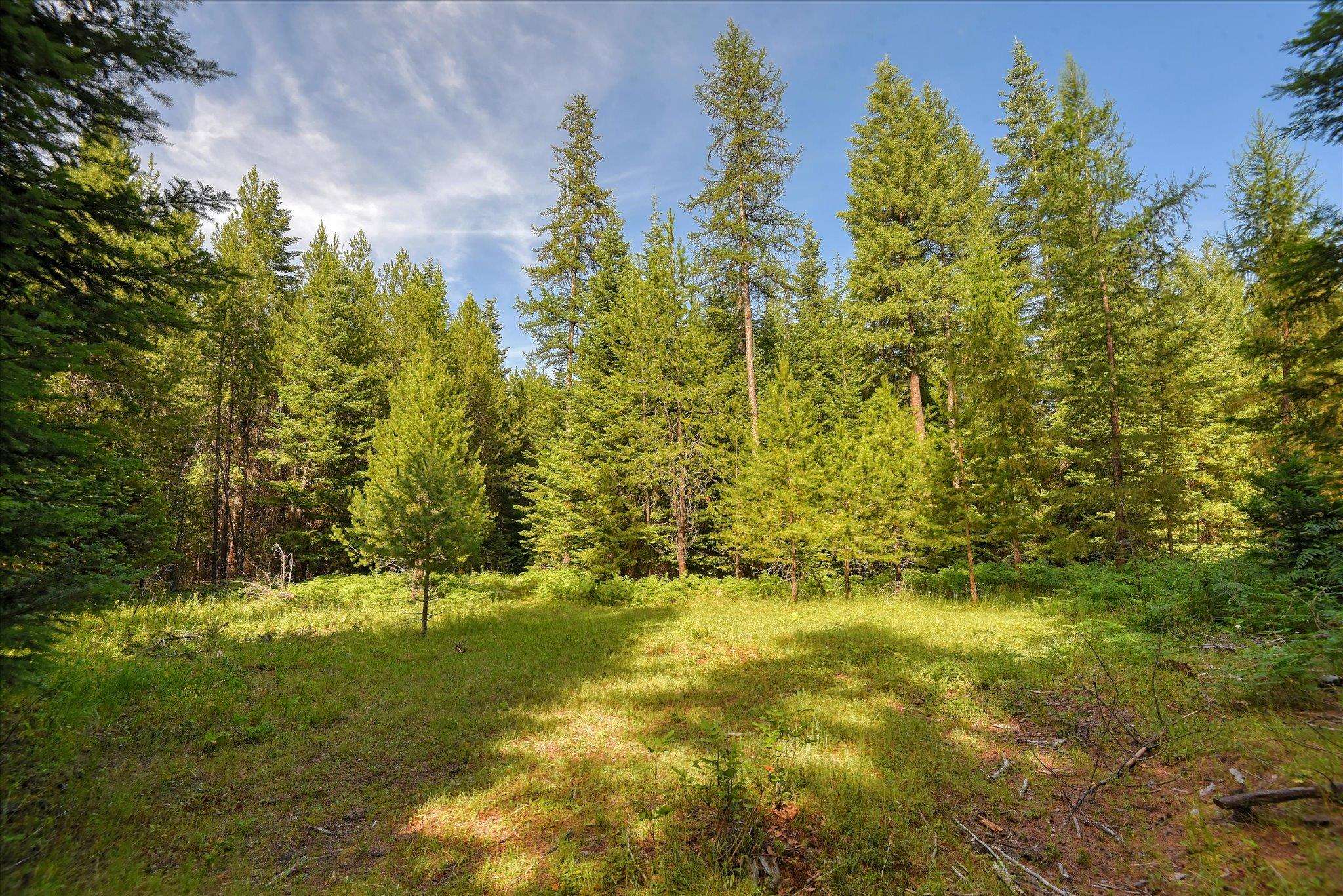 592 Doe Meadows Rd - Photo 38