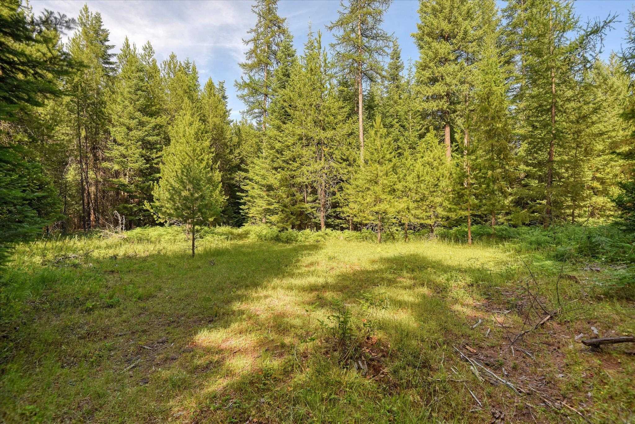 592 Doe Meadows Rd - Photo 39
