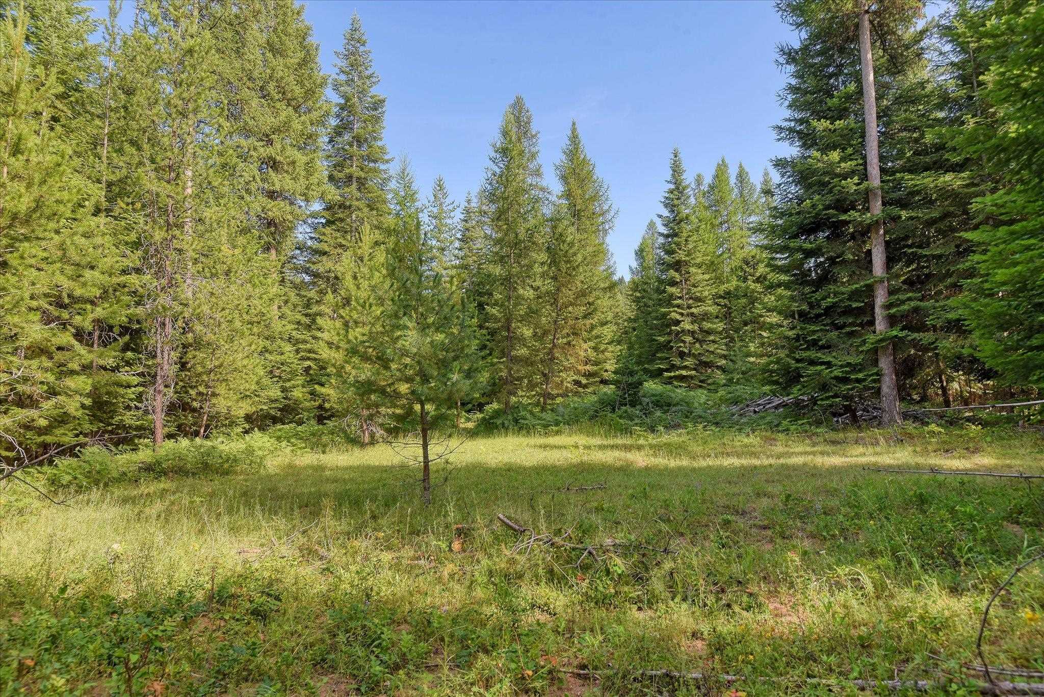 592 Doe Meadows Rd - Photo 40