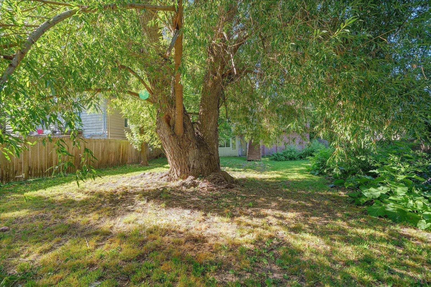 508 E 19th Ave - Photo 24