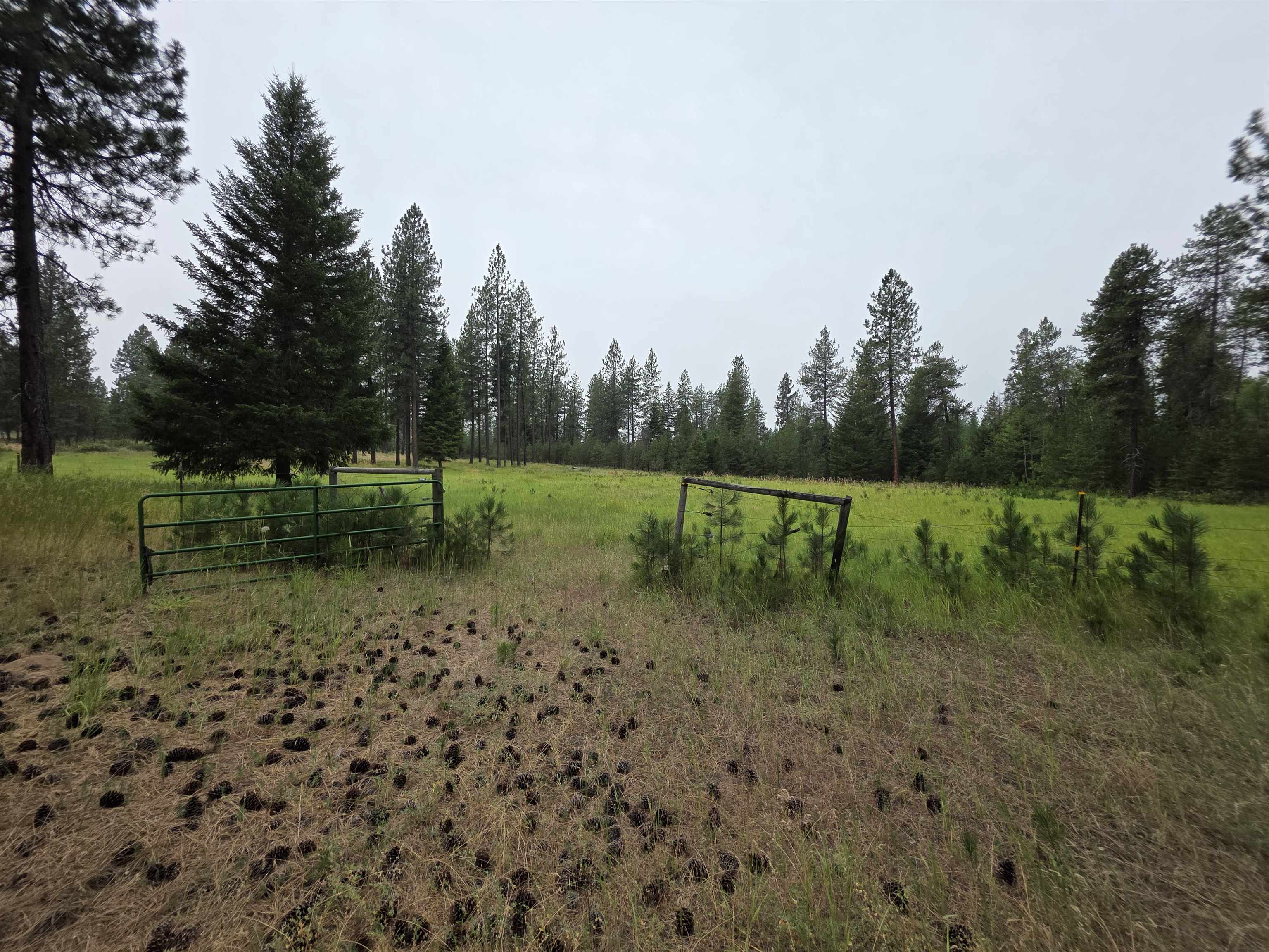 40507 N Division Rd - Photo 26