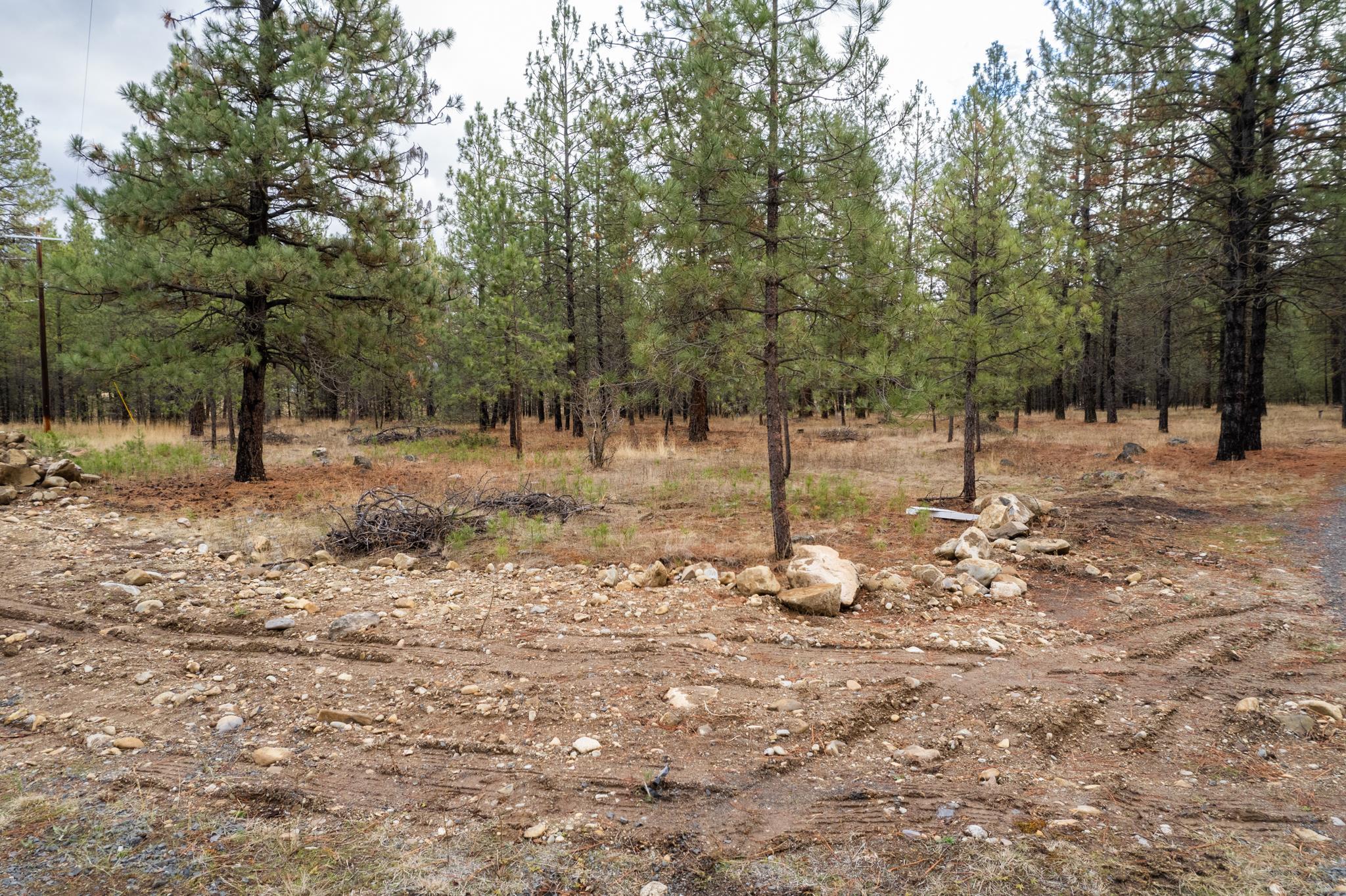 52282 Woods Ln - Photo 3