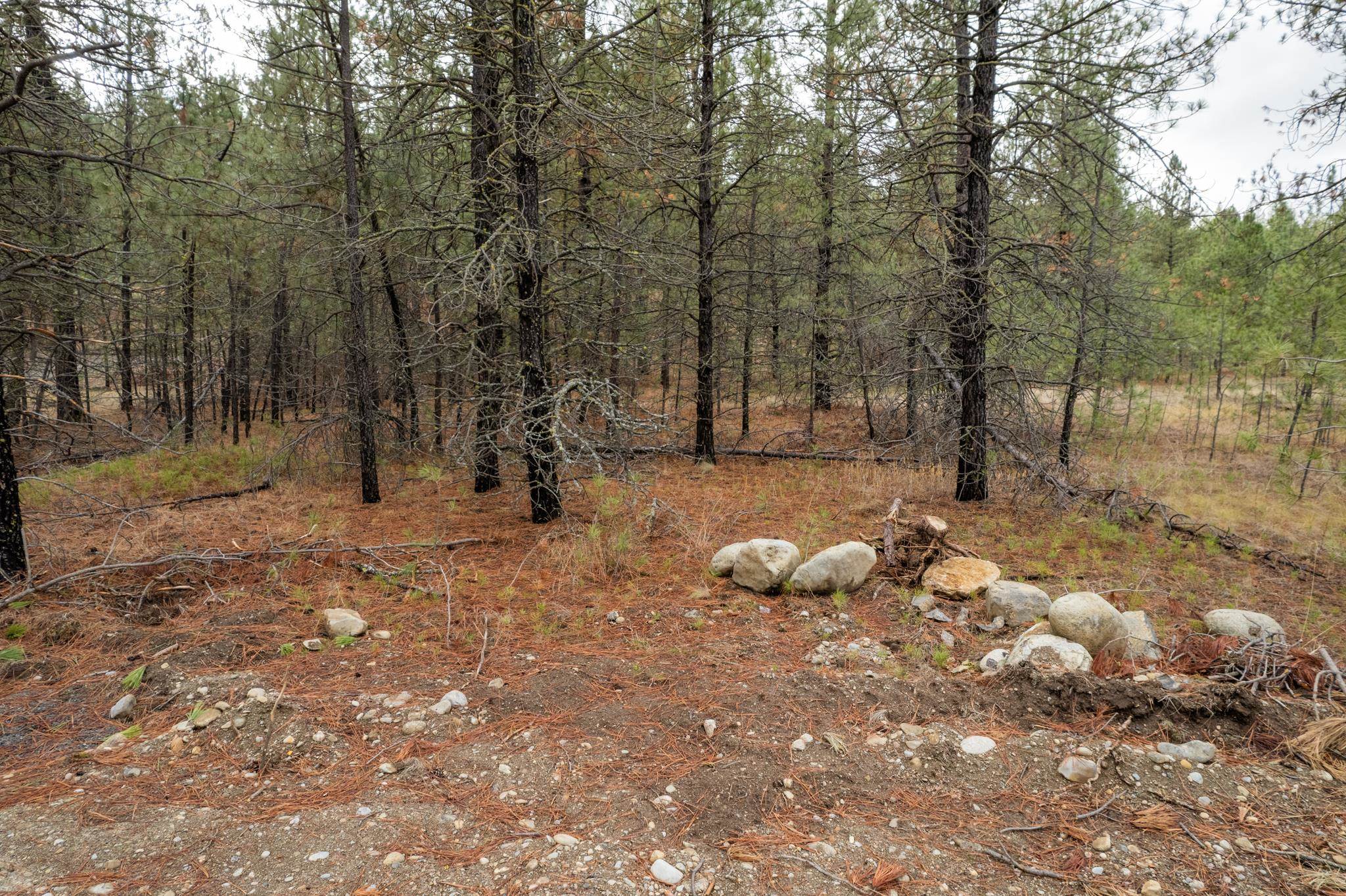 52282 Woods Ln - Photo 4