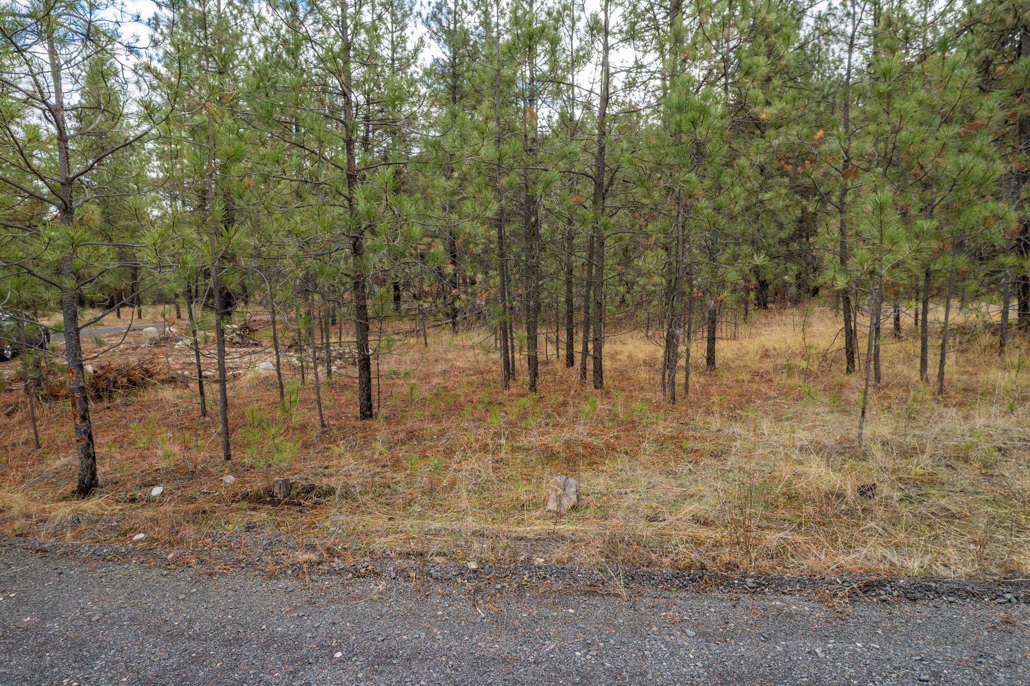 52282 Woods Ln - Photo 5