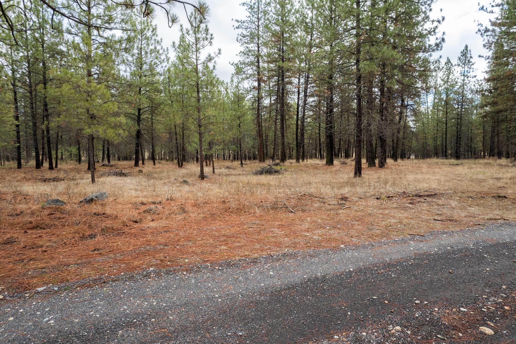 52282 Woods Ln - Photo 6