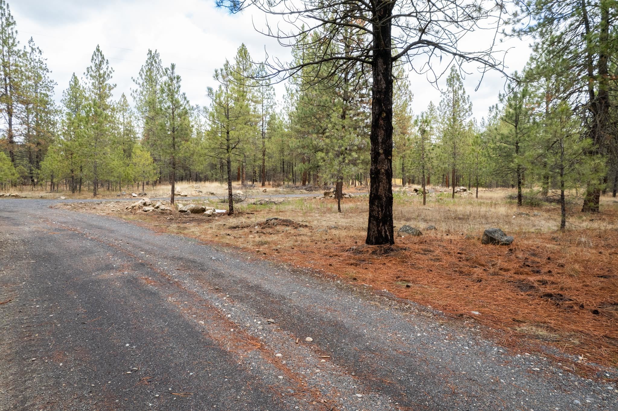 52282 Woods Ln - Photo 8