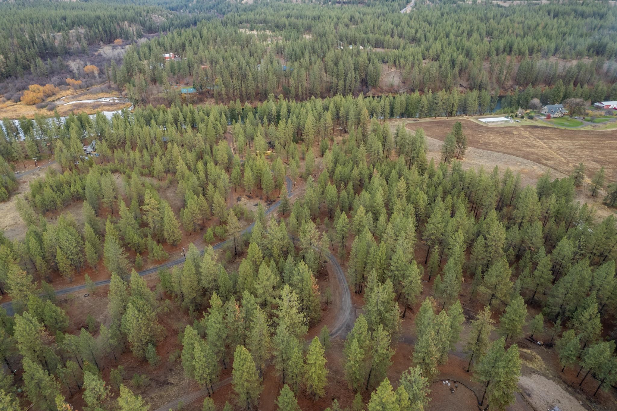 52282 Woods Ln - Photo 13