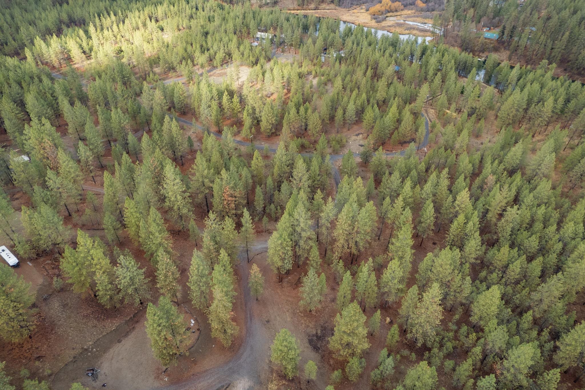 52282 Woods Ln - Photo 14