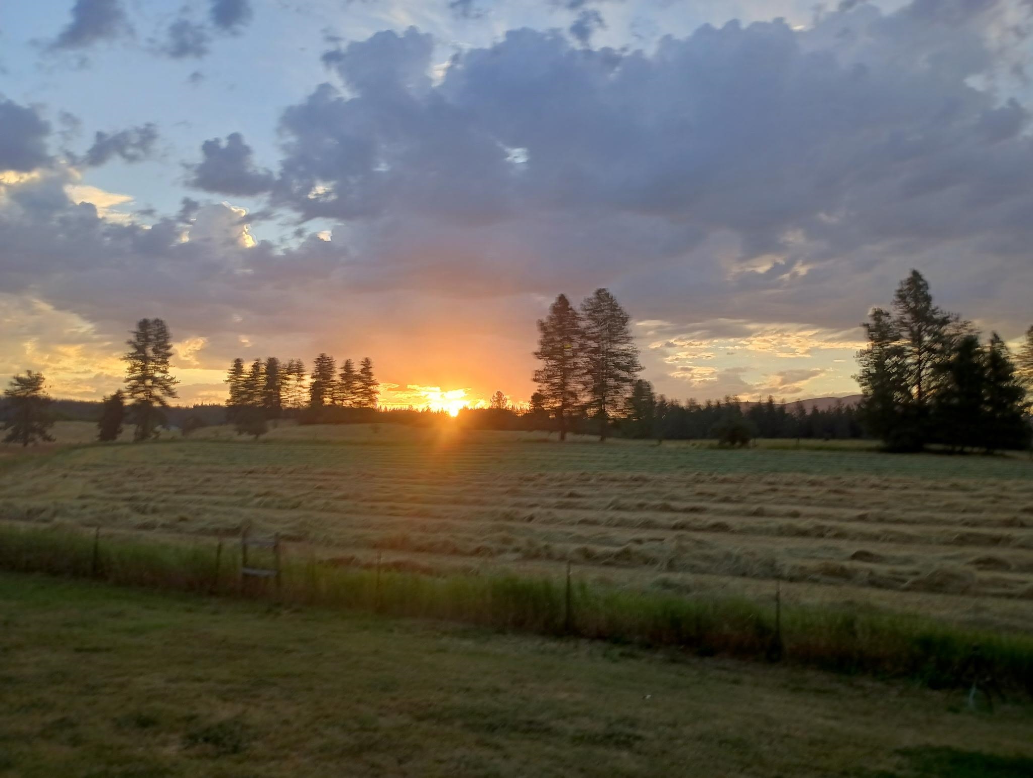 8511 E Hamilton Rd - Photo 45