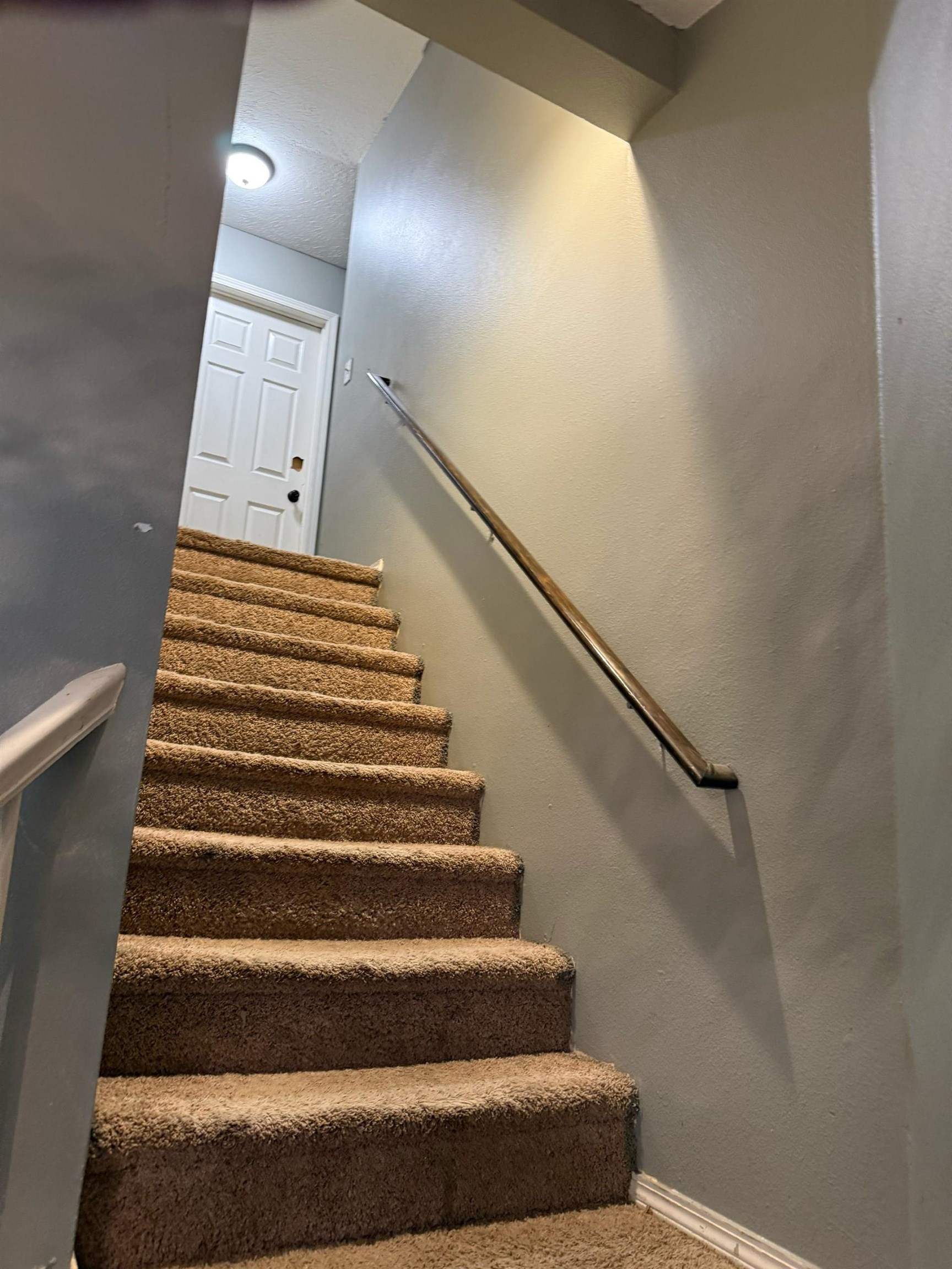 520 Quail Loop - Photo 11