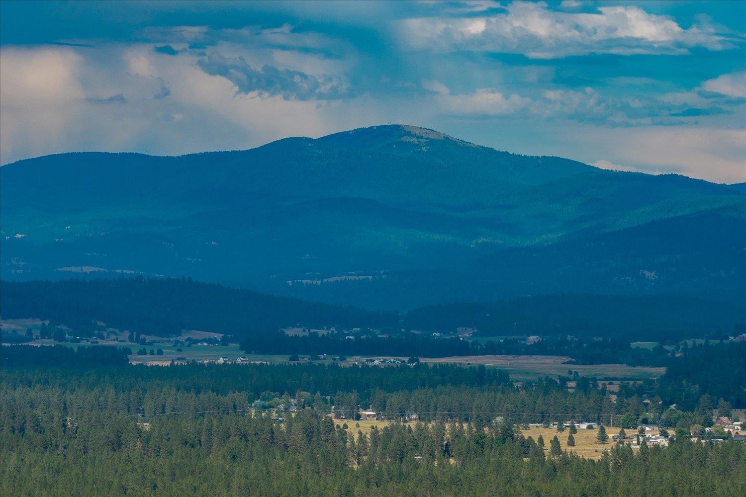 18114 N Nevada Rd - Photo 44
