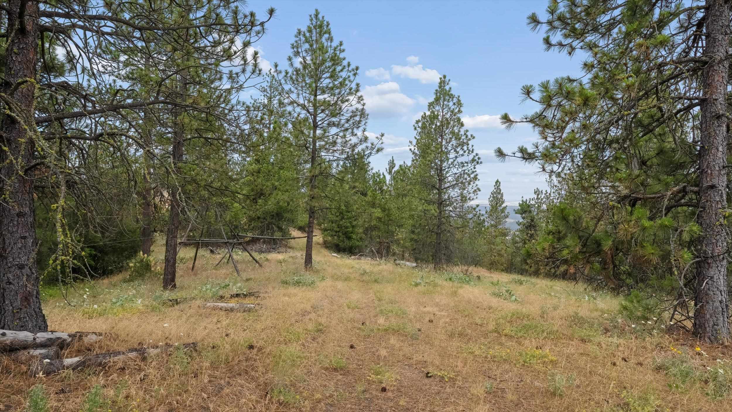 16500 N Abigail Ln - Photo 8