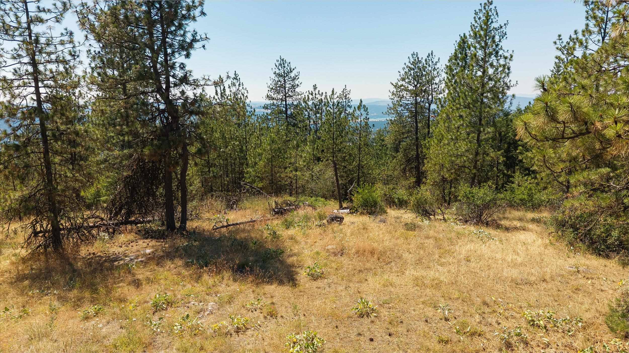 16500 N Abigail Ln - Photo 9