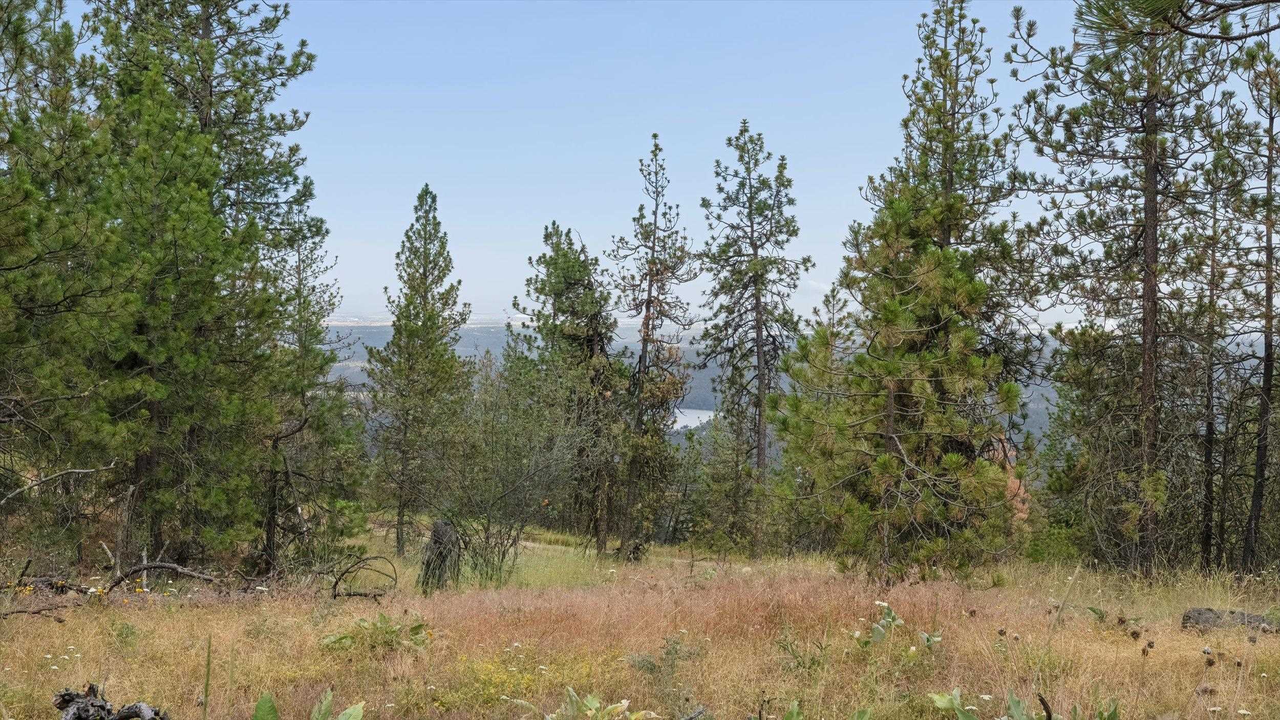 16500 N Abigail Ln - Photo 10