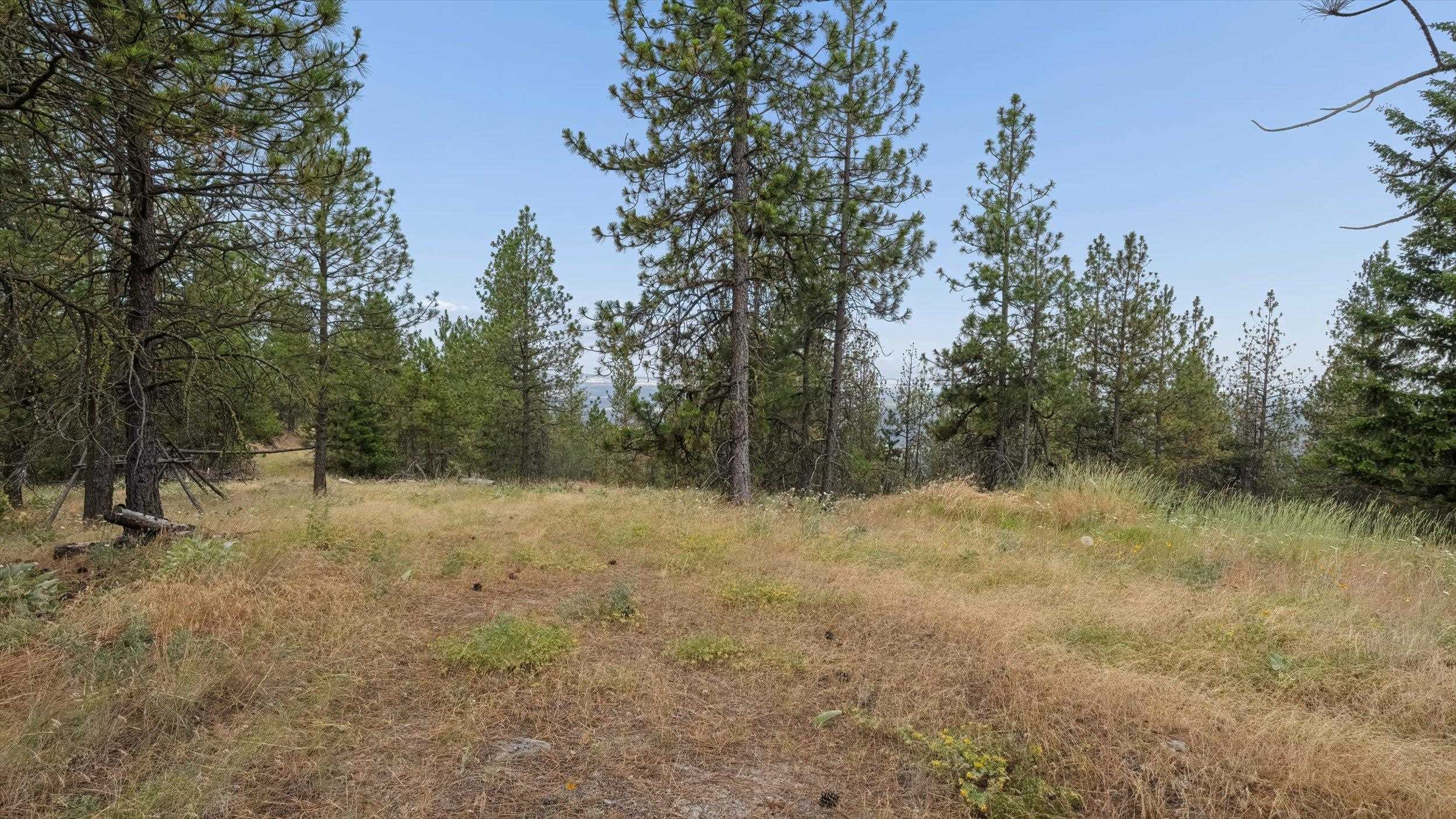 16500 N Abigail Ln - Photo 11