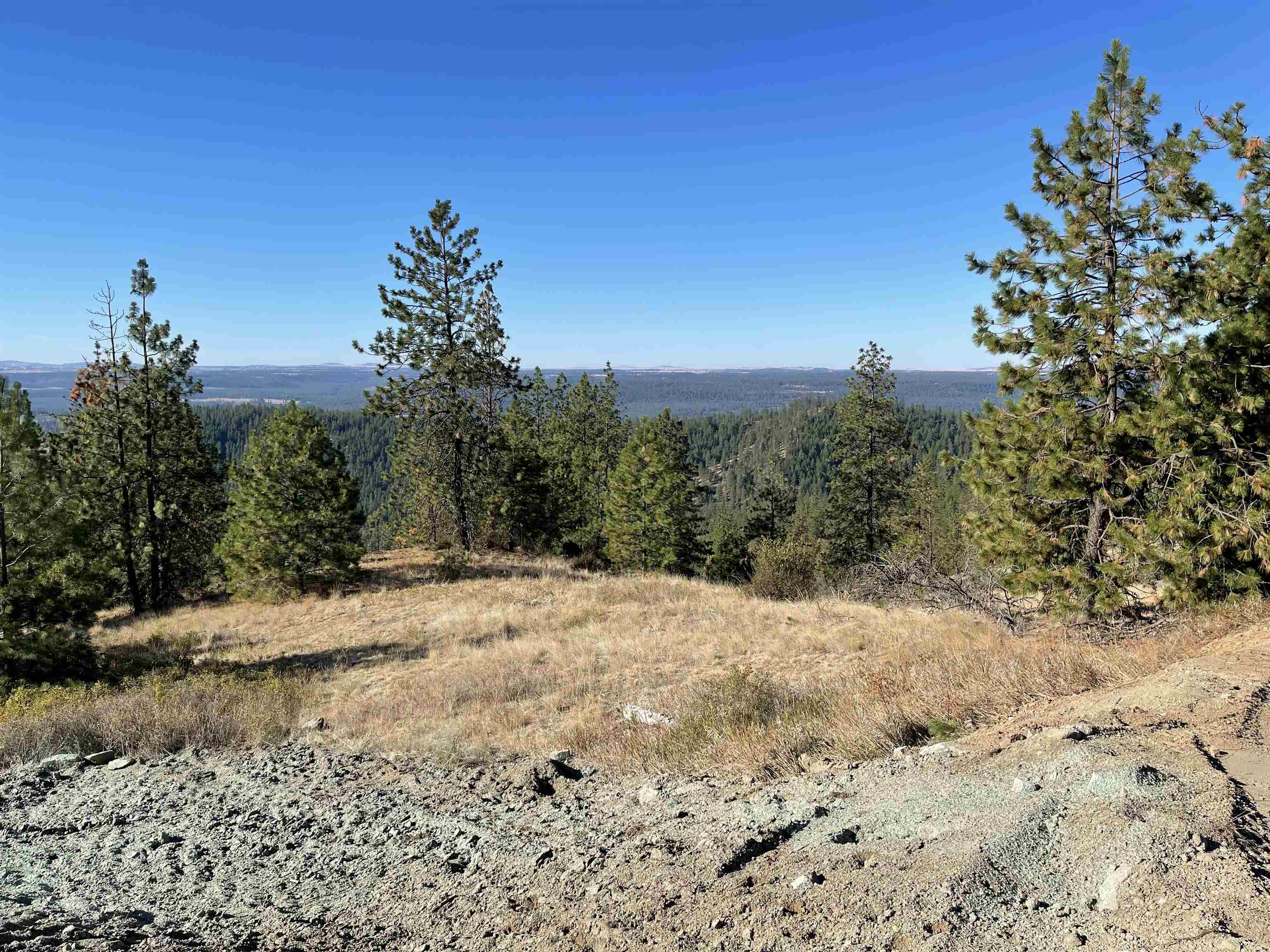 16221 N Soren Ln - Photo 3
