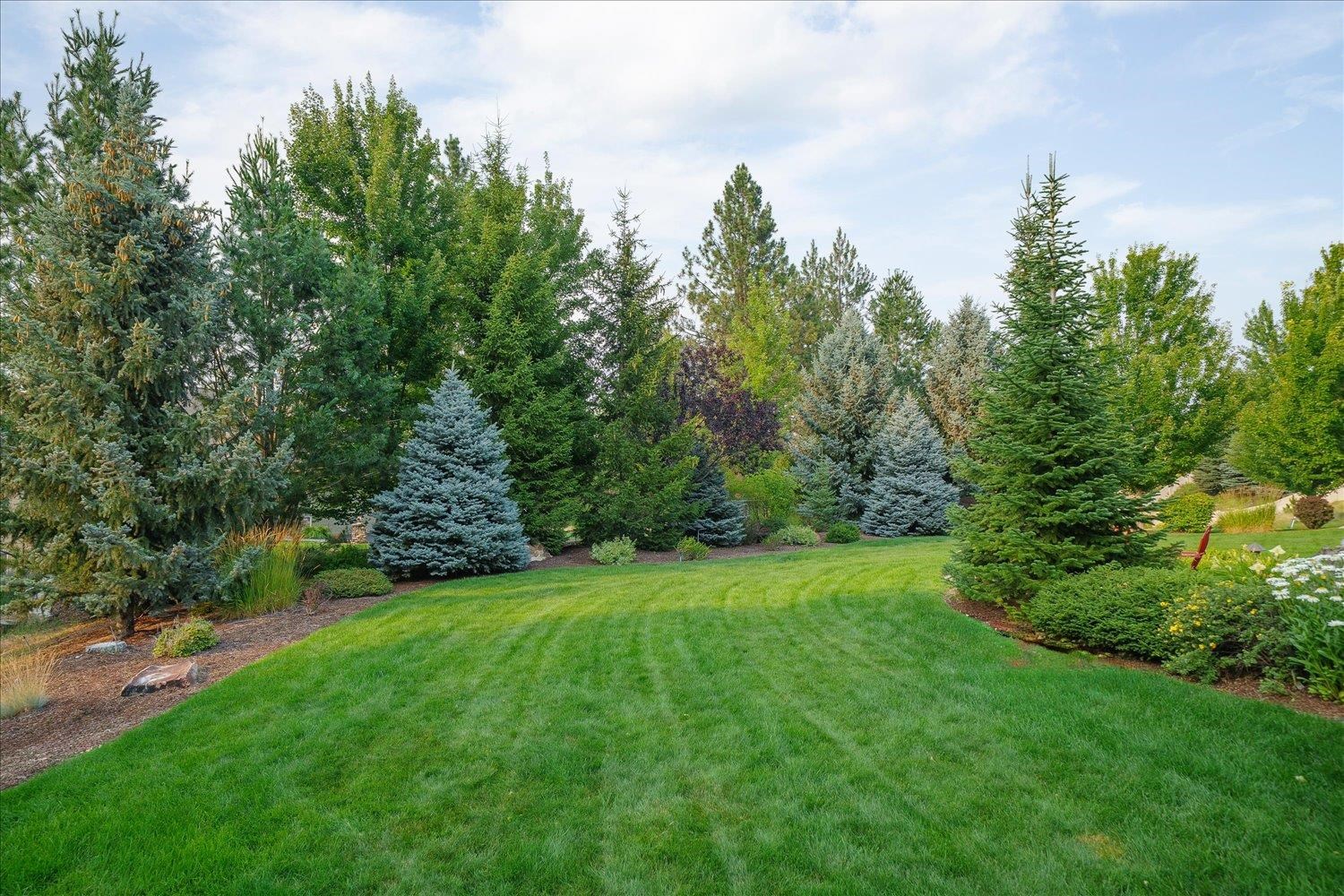11113 E Gertrude Dr - Photo 42