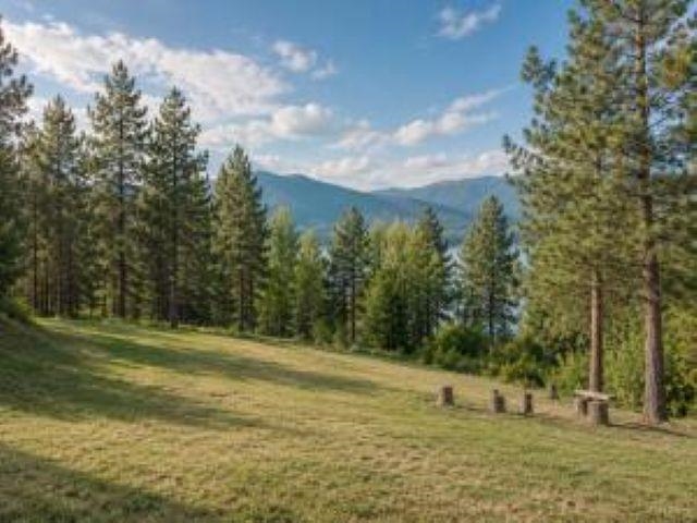 1420 SHERMAN VIEW Way - Photo 43