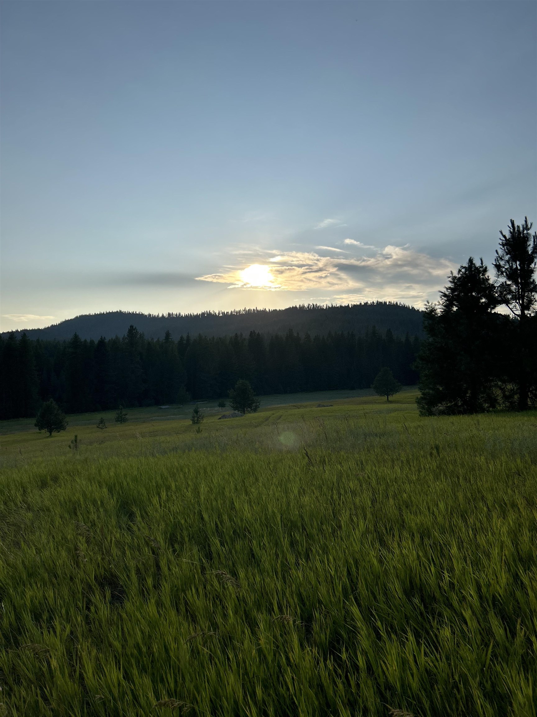 4435 Whittier (Lot 1) Rd - Photo 3