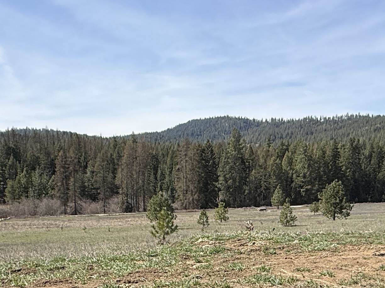 4435 Whittier (Lot 1) Rd - Photo 4