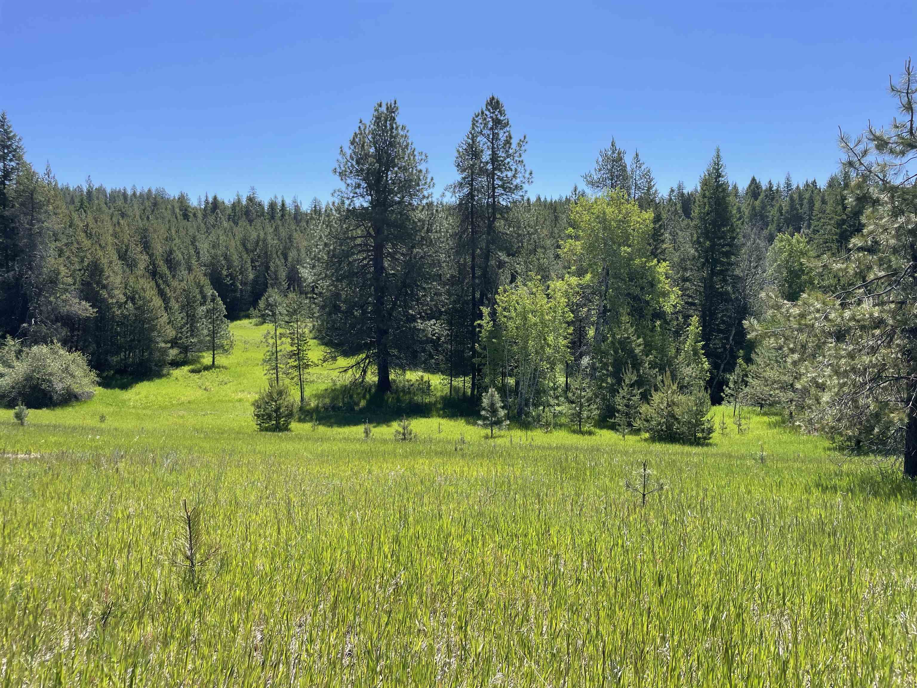4435 Whittier (Lot 2) Rd - Photo 2