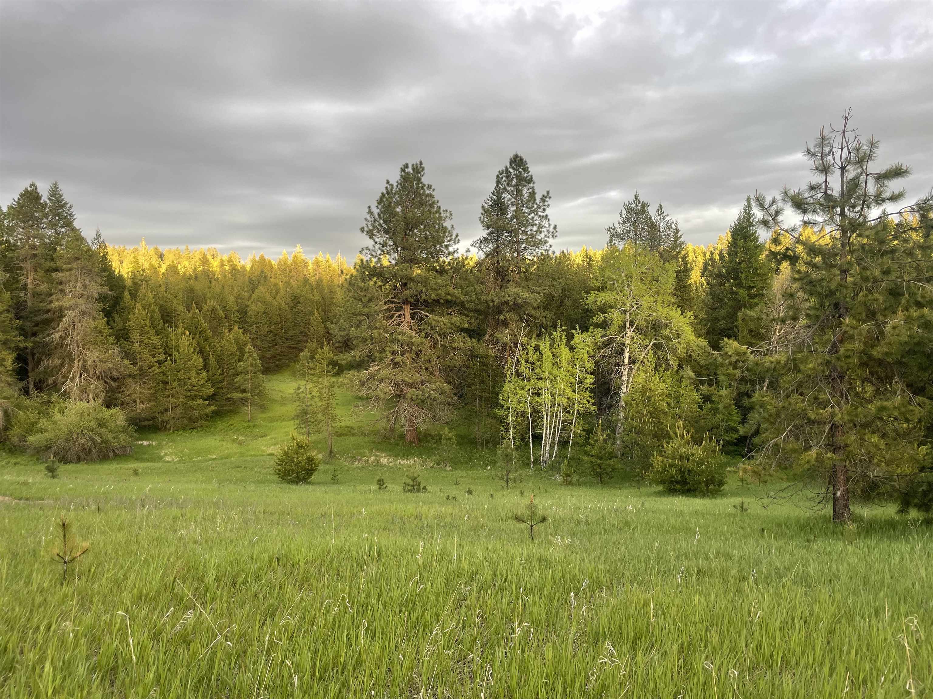 4435 Whittier (Lot 2) Rd - Photo 3