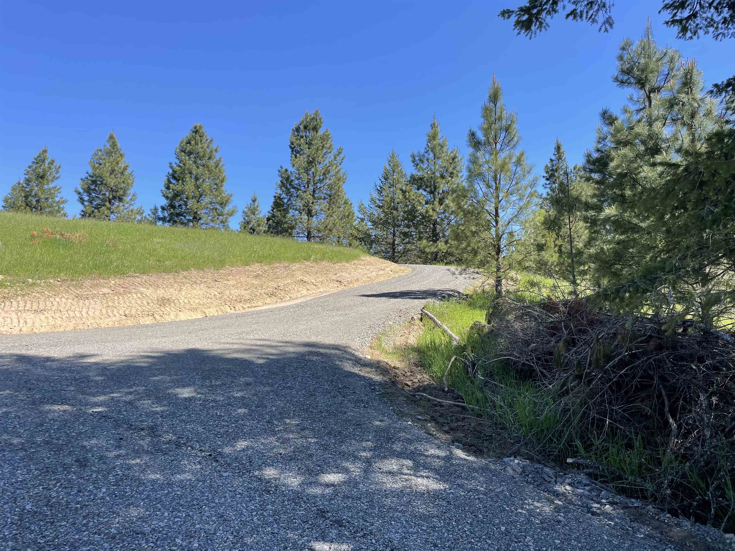 4435 Whittier (Lot 2) Rd - Photo 6
