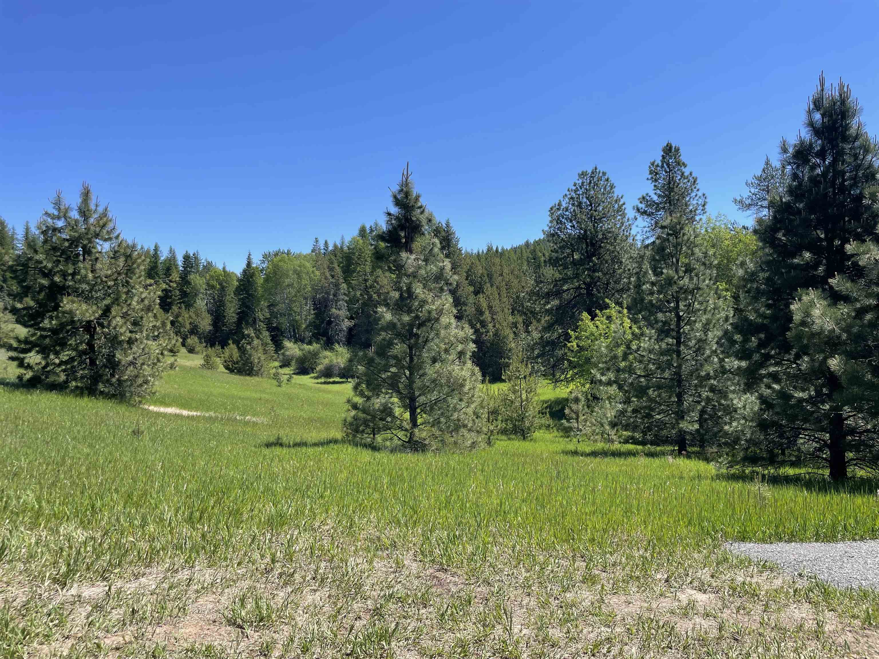 4435 Whittier (Lot 2) Rd - Photo 13