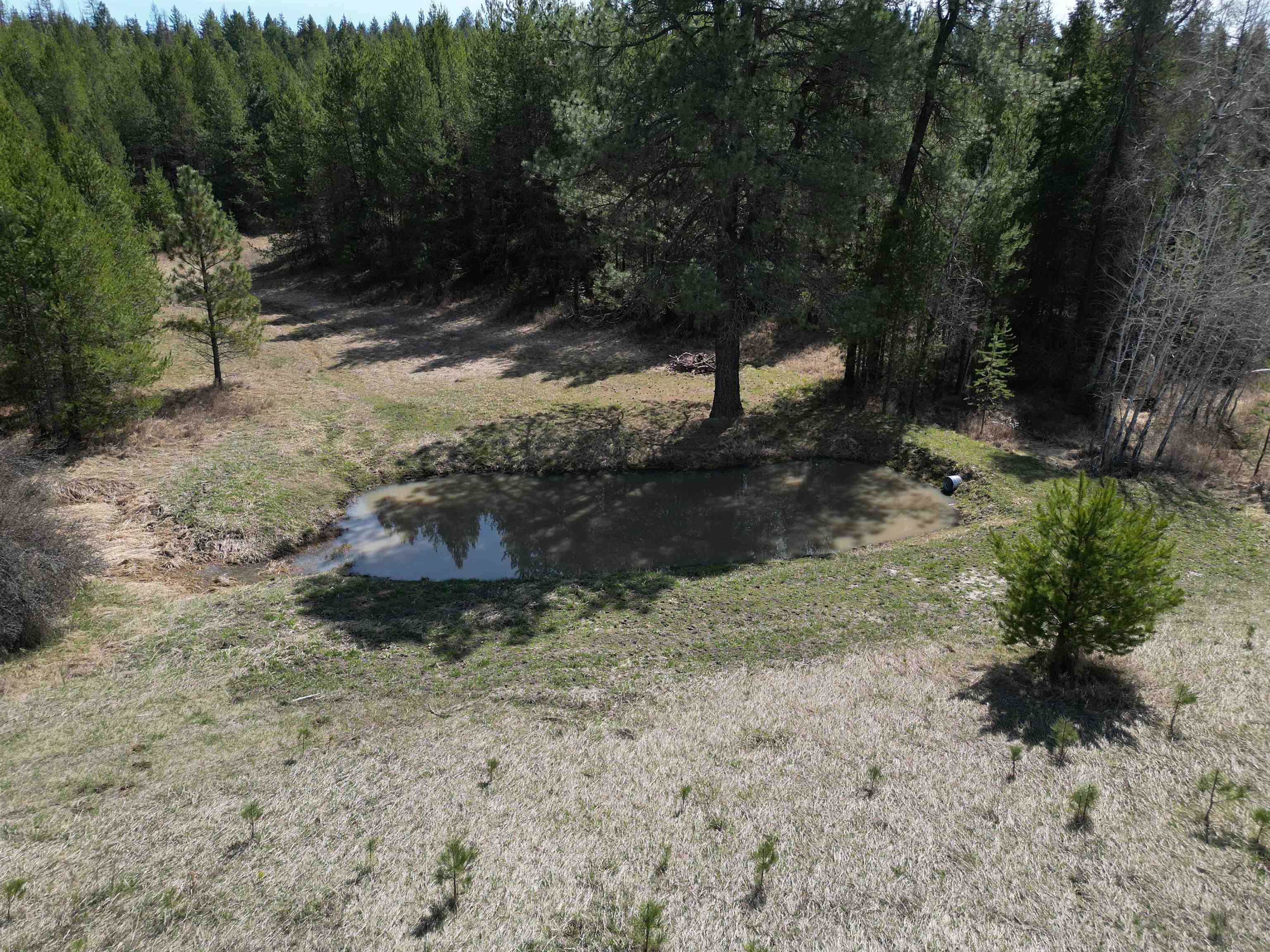 4435 Whittier (Lot 2) Rd - Photo 15